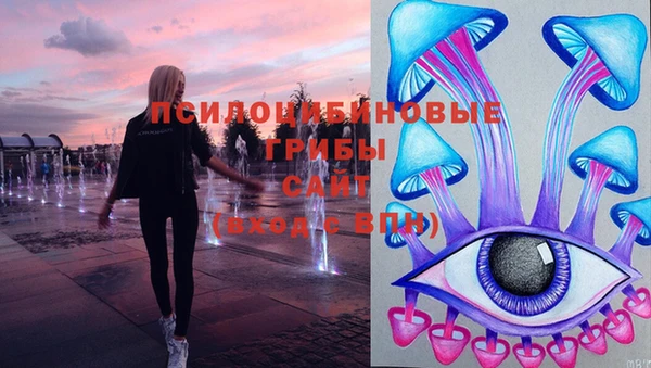 метамфетамин Алексеевка