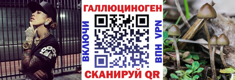 купить наркотик  Орёл  Псилоцибиновые грибы Cubensis 